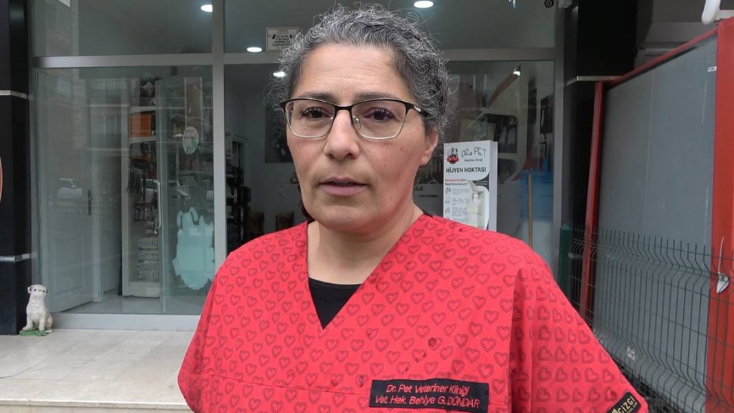 Et alacaklar dikkat! Bir ilde şap hastalığı nedeniyle et satışı durduruldu! 8